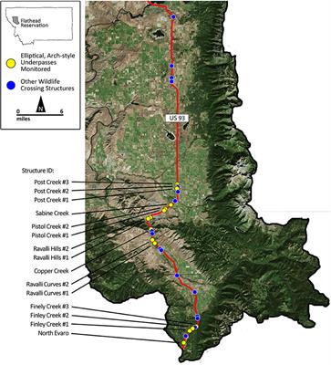 Performance of Arch-Style Road Crossing Structures from Relative Movement Rates of Large Mammals